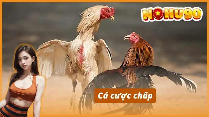 Hình thức cá cược và kẹo cược phổ biến tại AOG đá gà