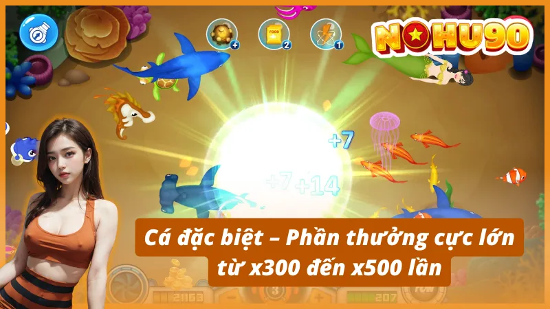 Hệ thống sinh vật biển đá dạng tại TP Chặt Chém Cá