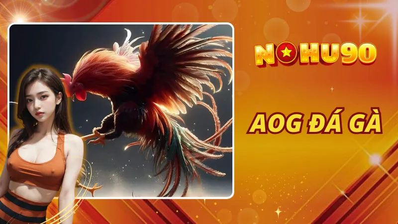 AOG Đá Gà