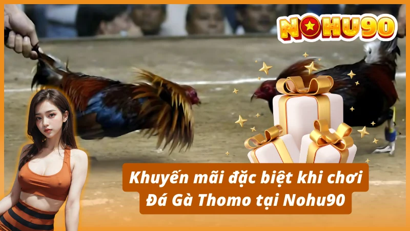 Khuyến mãi đặc biệt khi chơi Đá Gà Thomo tại Nohu90