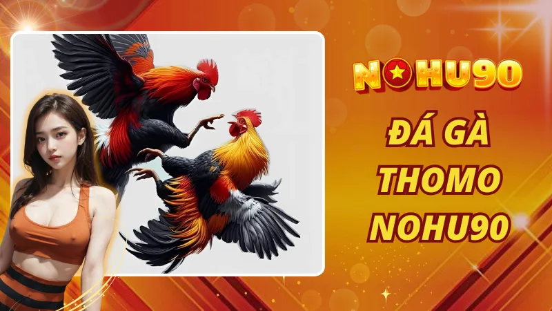 Đá gà Thomo Nohu90